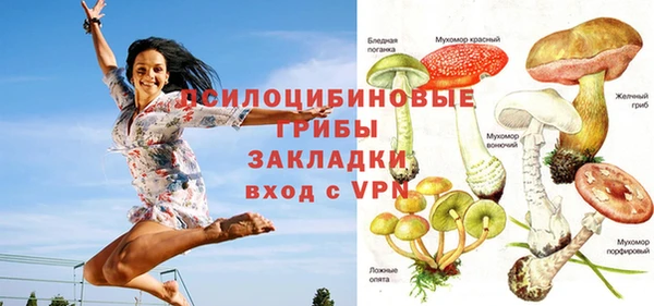 ECSTASY Покров
