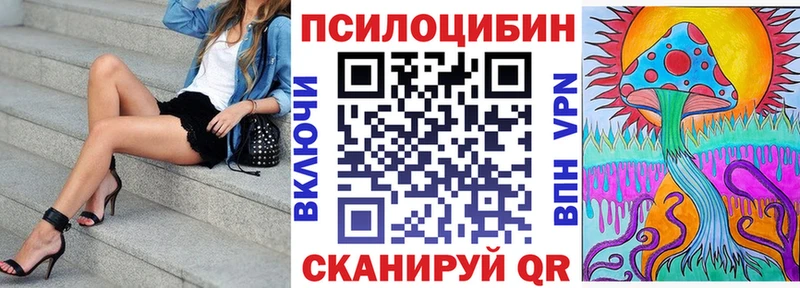 дарнет шоп Пермь дарк нет какой сайт Галлюциногенные грибы Psilocybe