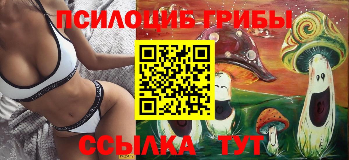 Пермь  Галлюциногенные грибы Psilocybine cubensis  Вход с VPN 